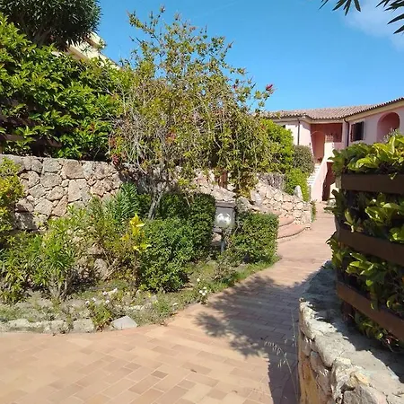 Bilo Noel Ольбия