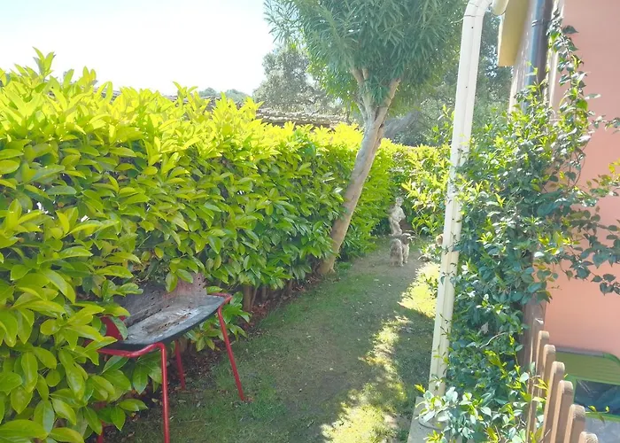 Appartamento Bilo Noel